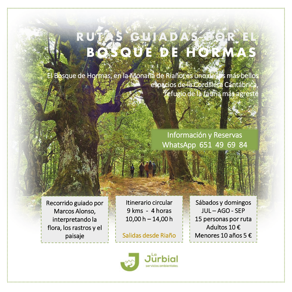 Bosque de hormas riau00f1o 2019