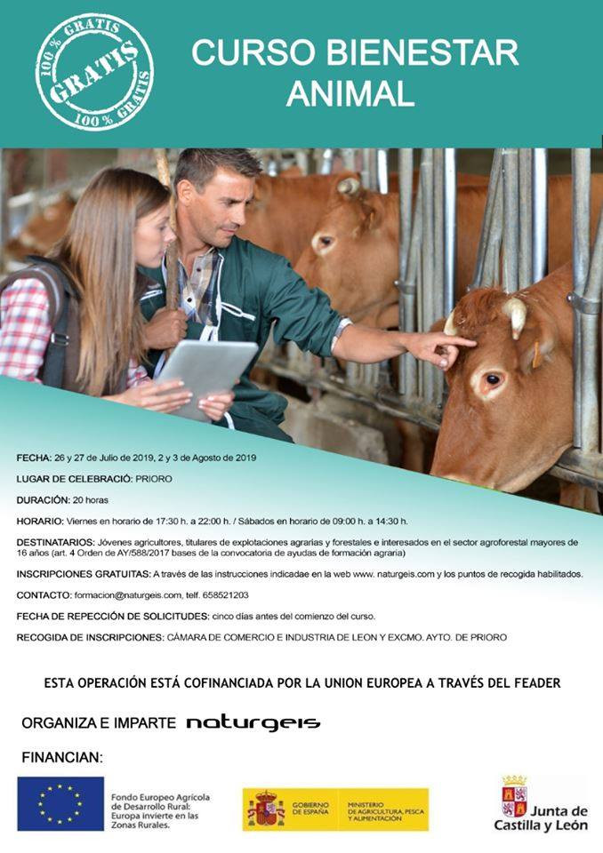 Prioro curso bienestar animal