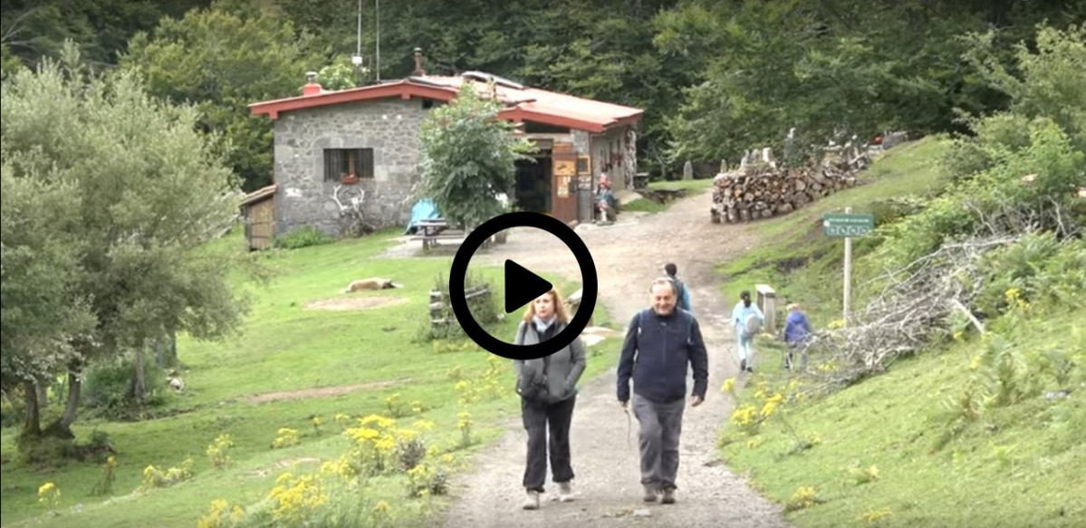 Picos meji web (2)