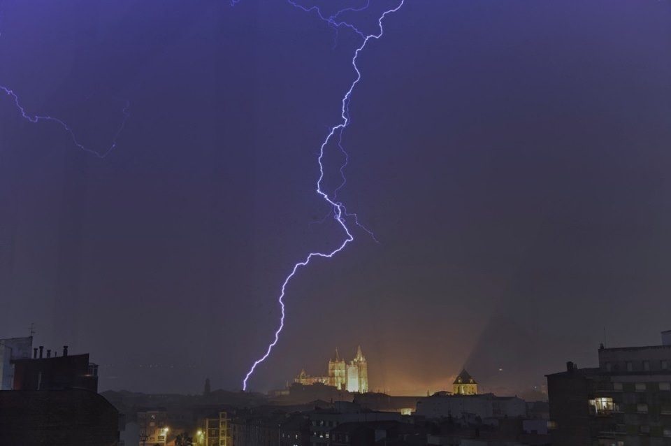 Tormenta leon basty fotografía