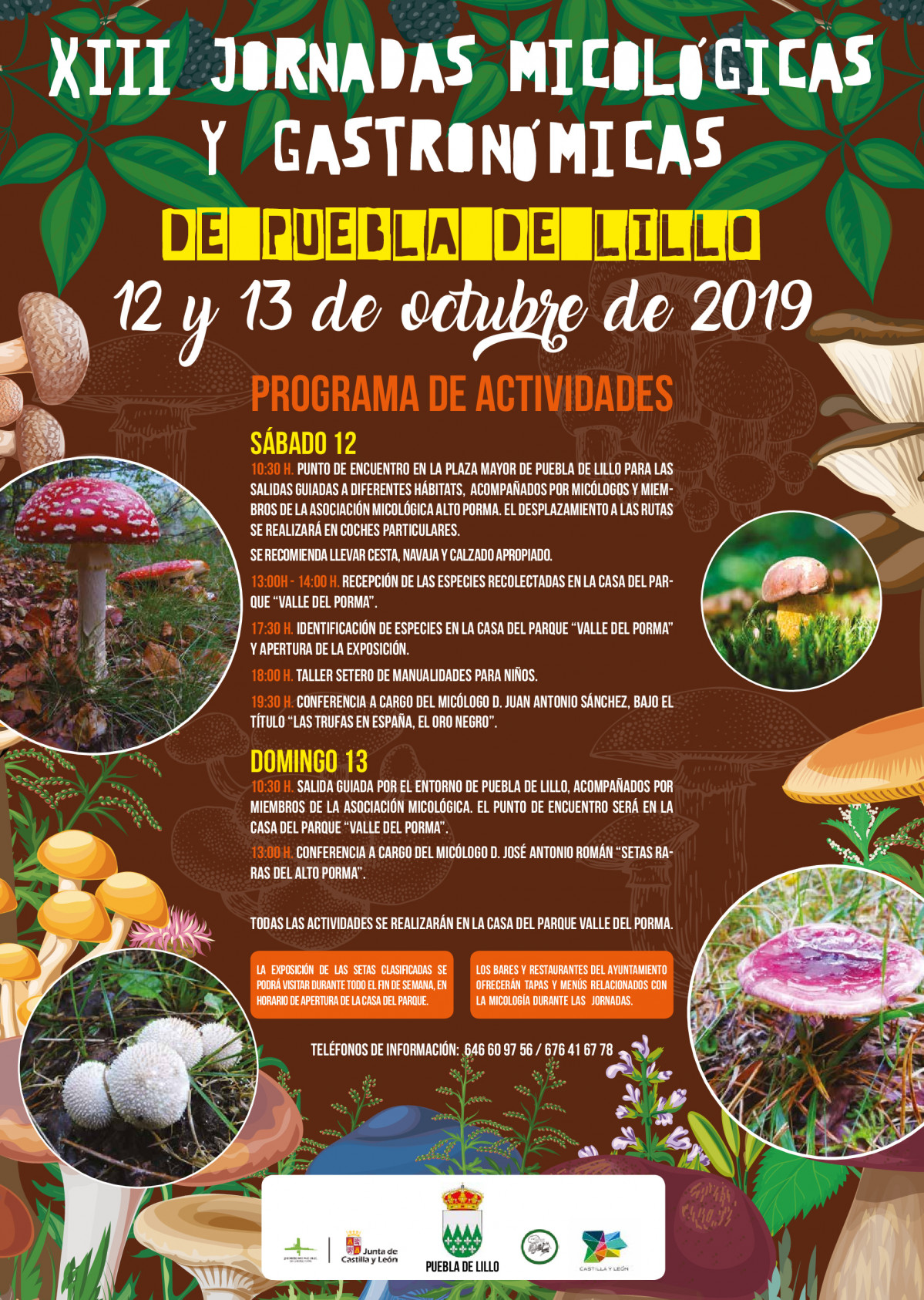 Setas Puebla Lillo 2019 32X45