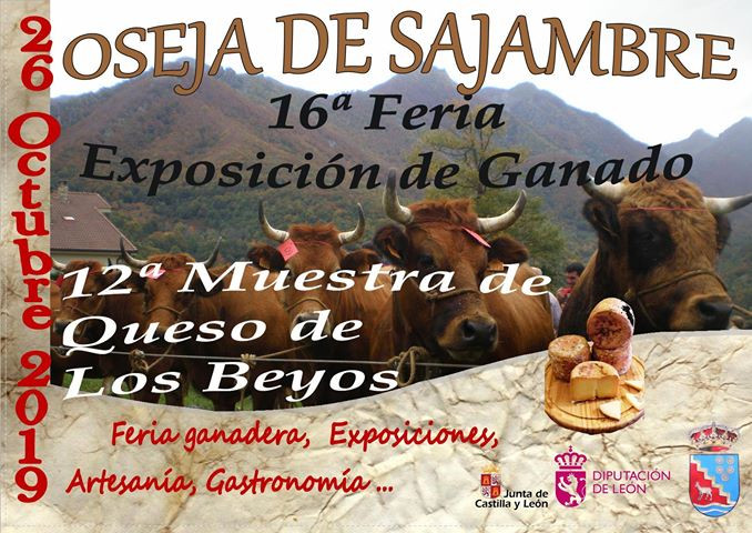 Oseja de sajambre feria