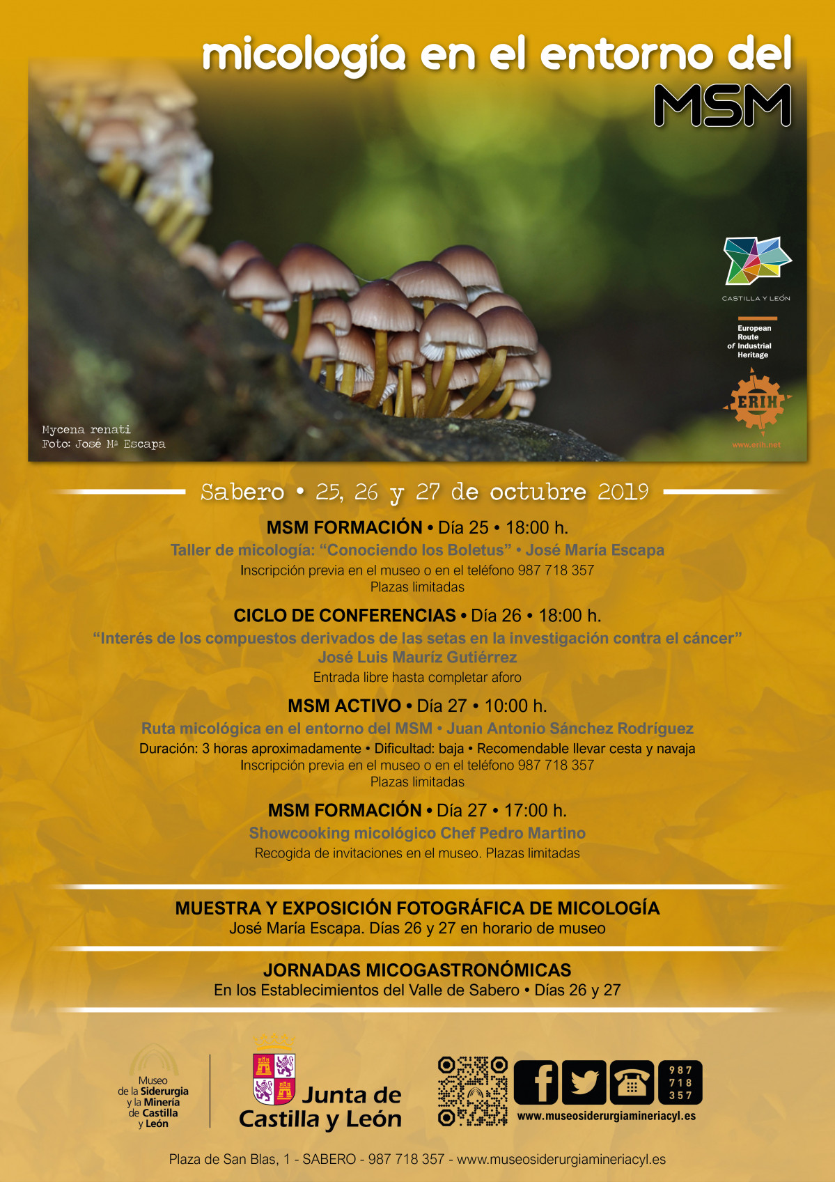 Jornadas Micolu00f3gicas 2019