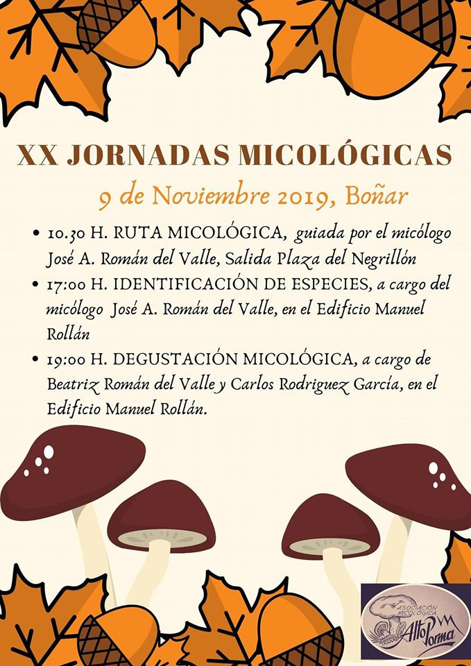 BOu00d1AR JORNADAS MICOLOGICAS