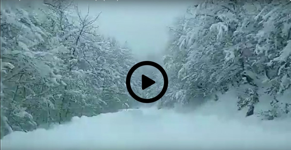 Temporal nieve panderruedas 1 (2)