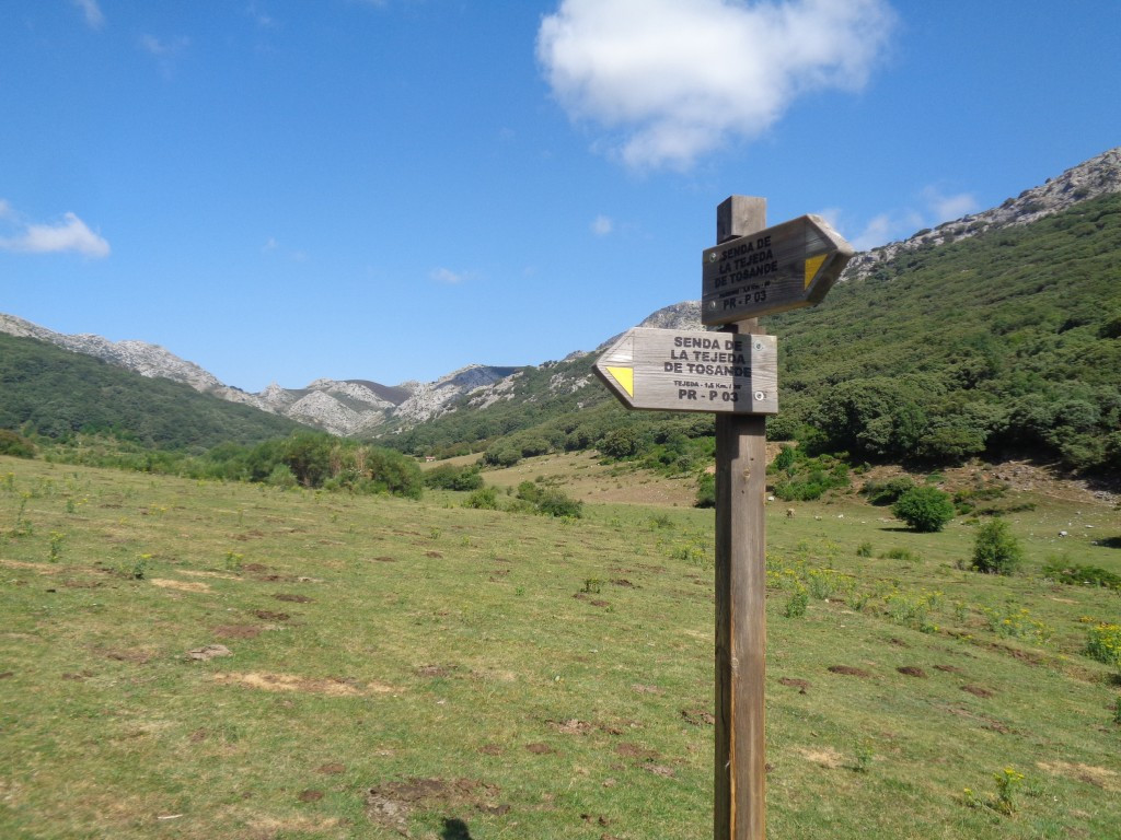 Homologación Parque Natural Montaña Palentina