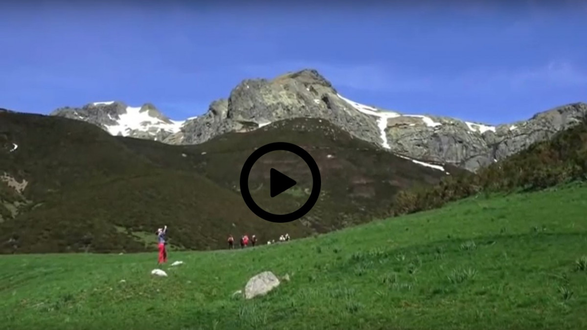 Pico vallines video 2020