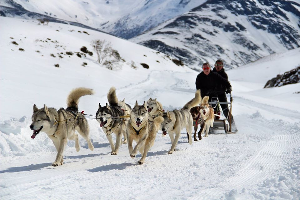 Mushing leon club