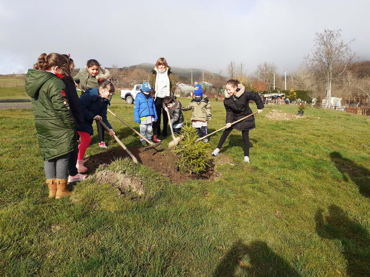 PLANTACION ARBOLES NIÑOS CRA OLLEROS DE SABERO 2020