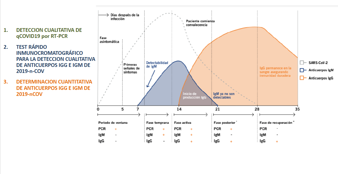 20200504 NP PRUEBAS (1)