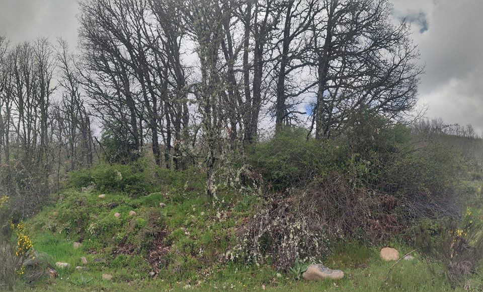 Fotografu00eda David Du00edez Cortijo. Restos de una ermita en el Valle de Ciu00f1era