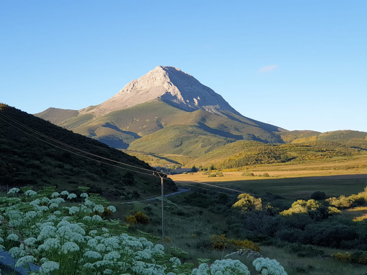 Pico espiguete valverde leon