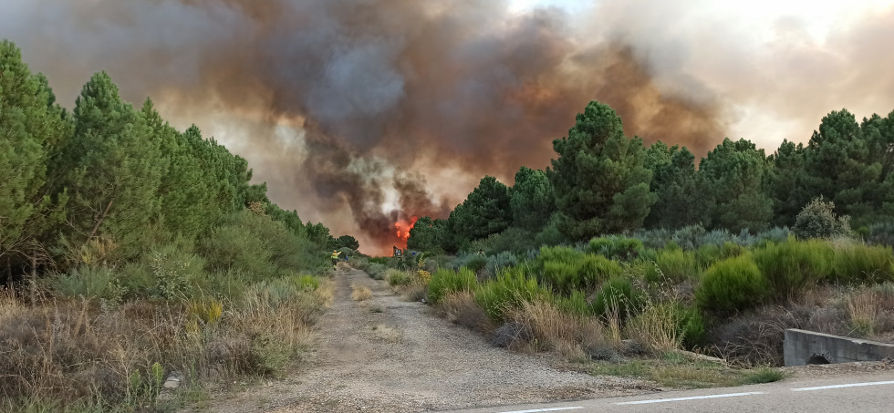 Inicio del incendio sobre las 8 de la tarde