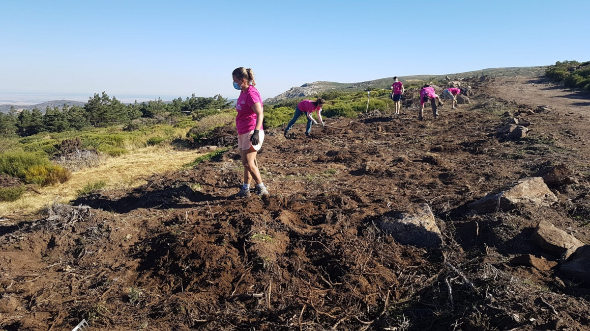 Voluntariado ambiental