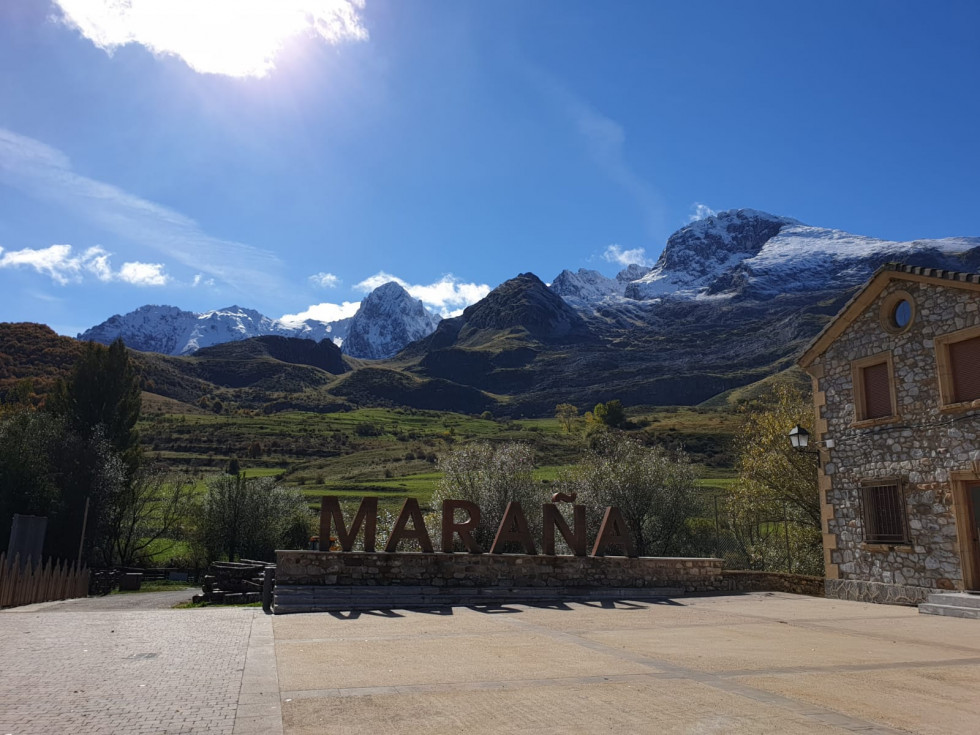 Plaza de maraña 6