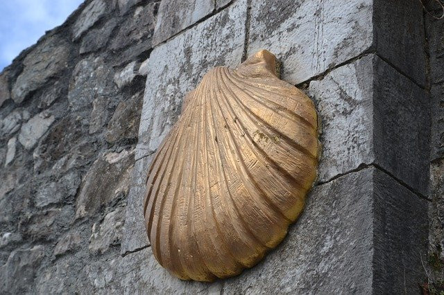 EllXelVXIAEJesI
