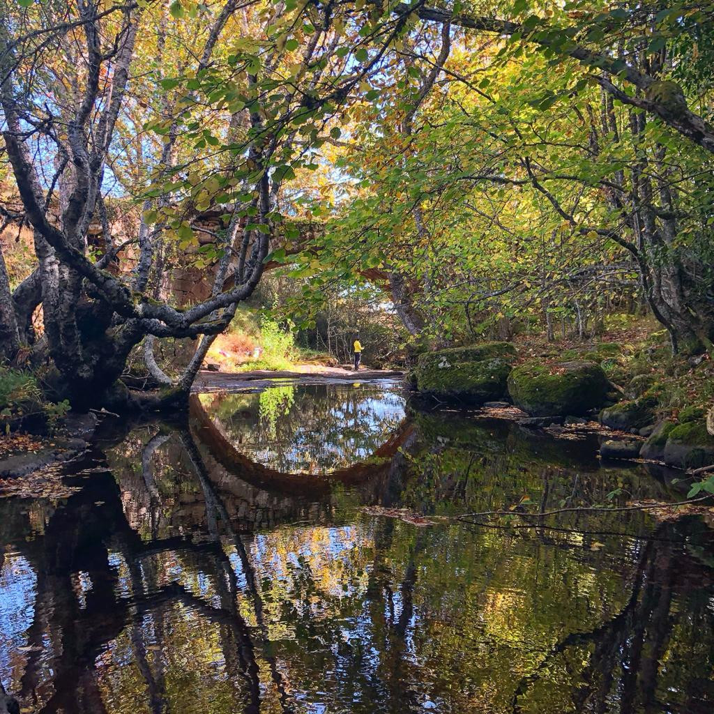 Puente de rojadillo 0