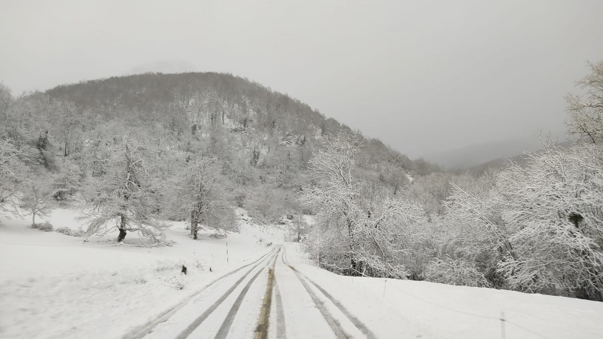 Nieve sajambre 1