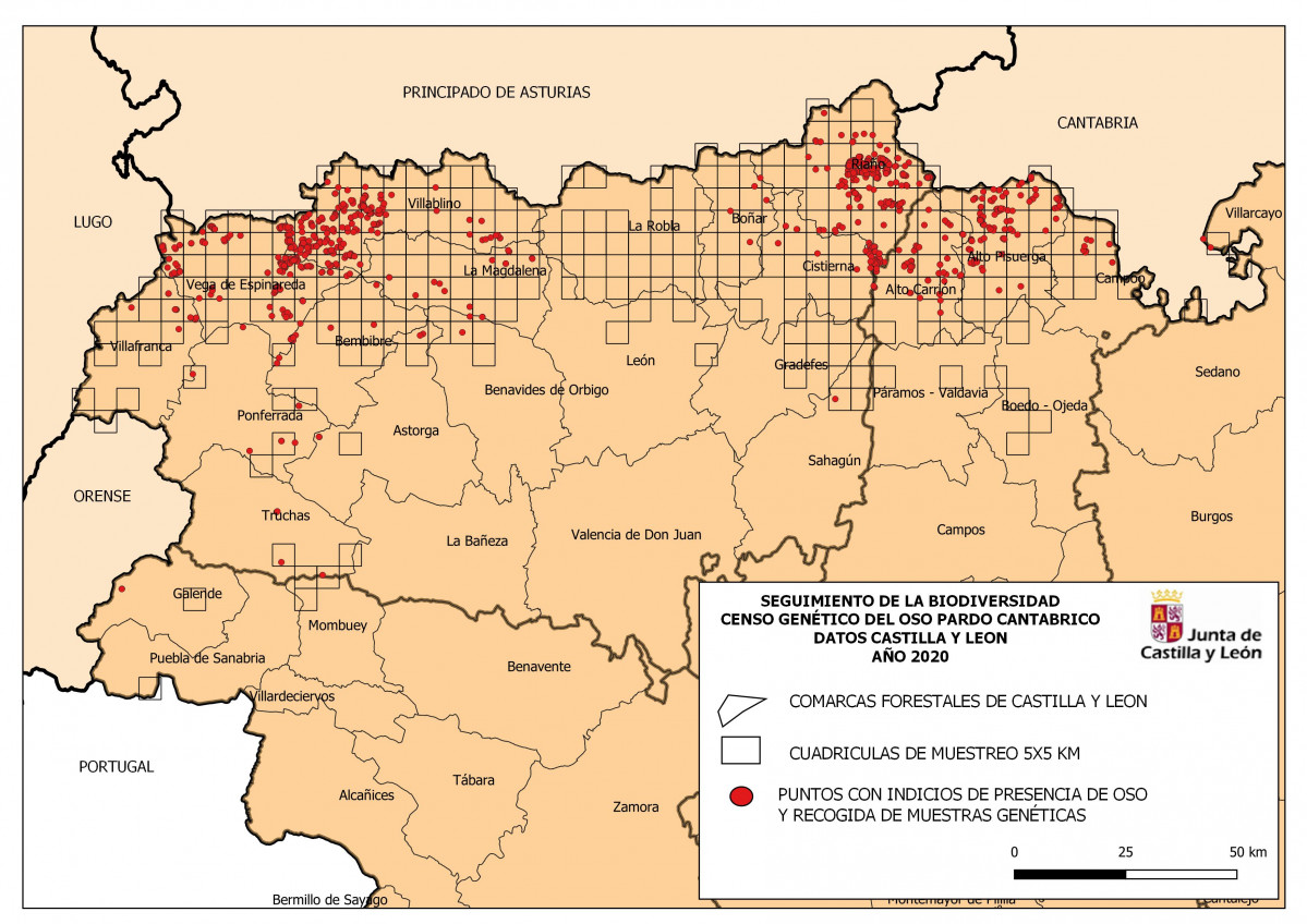 Plano de indicios de presencia de oso pardo