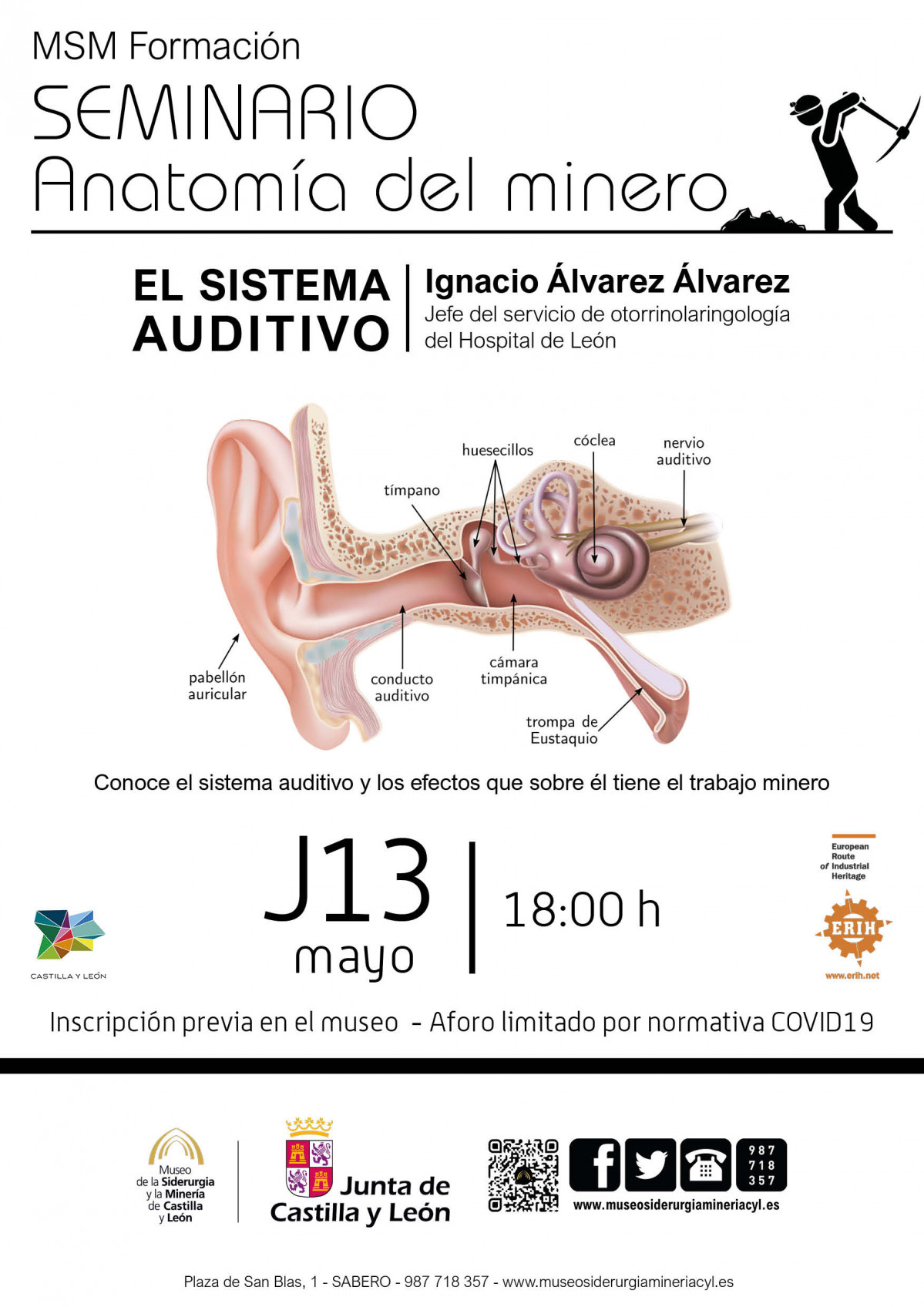 Anatomia del minero   el sistema auditivo (para web)