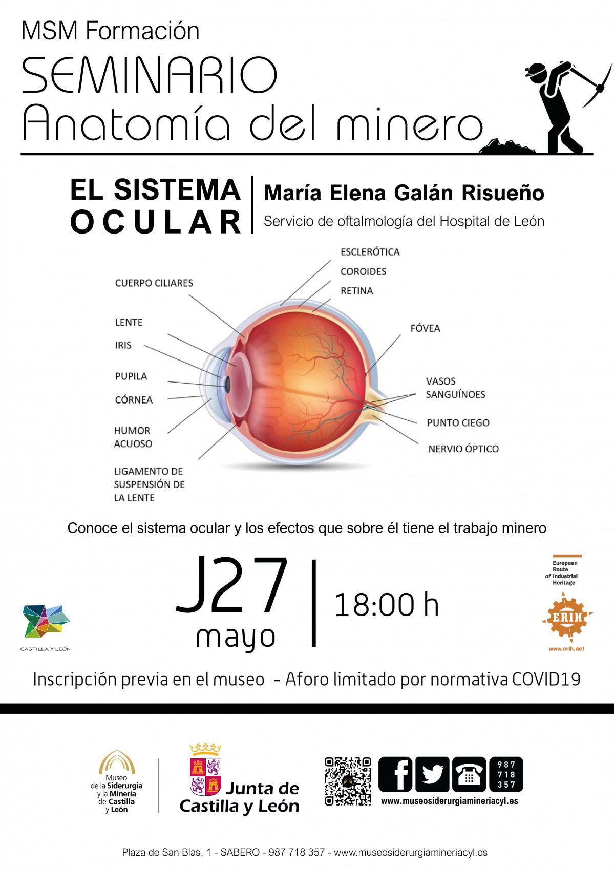 Anatomia del minero   el sistema ocular