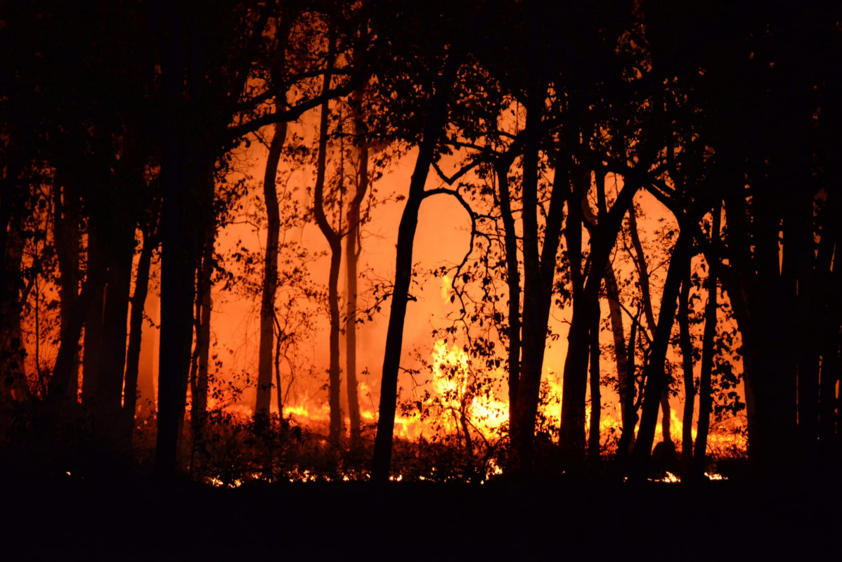 Incendio forestal leon