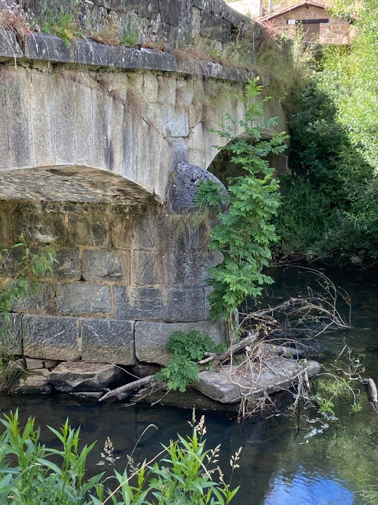 Puente de Morgovejo