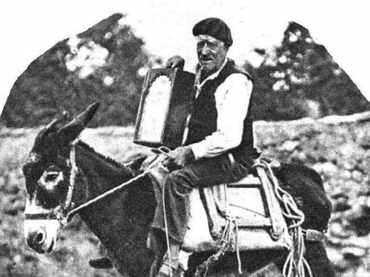Foto