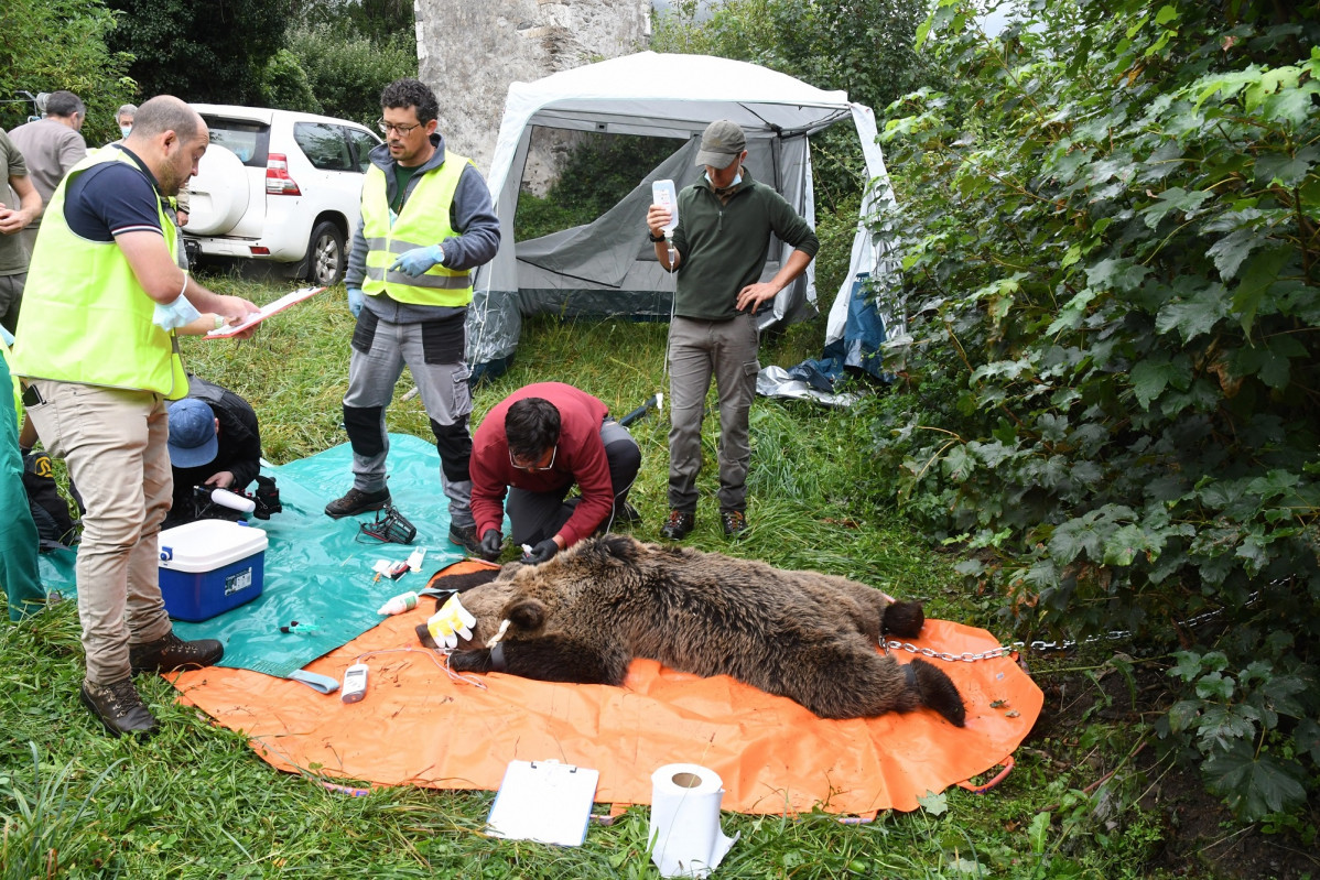 20210909  CAPTURA OSO CSIC 05