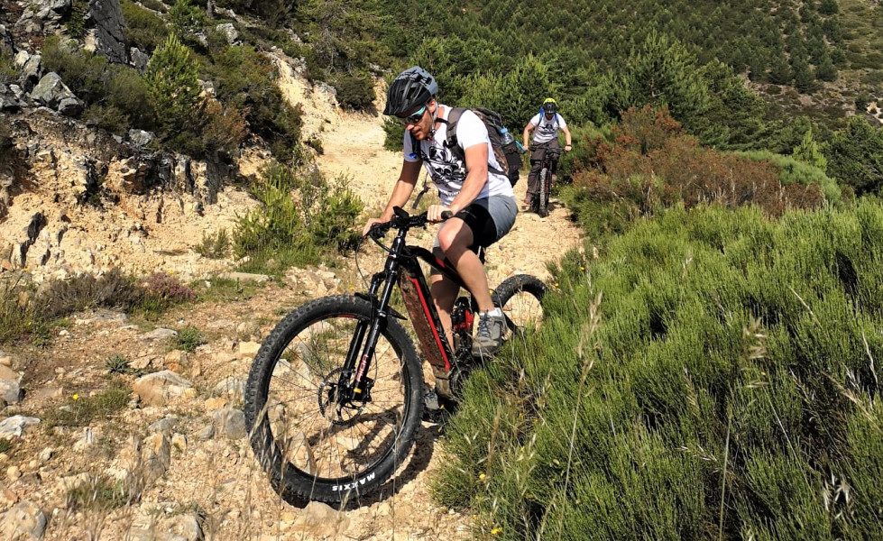 Ruta de bicicleta de montaña