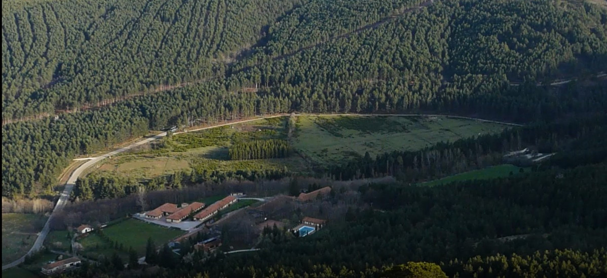 Velilla zona forestal