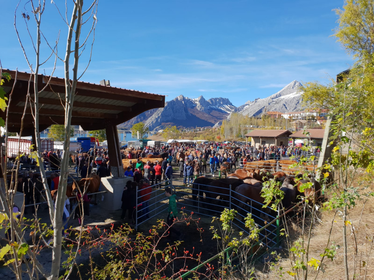 Diariod de valderrueda feria 2018