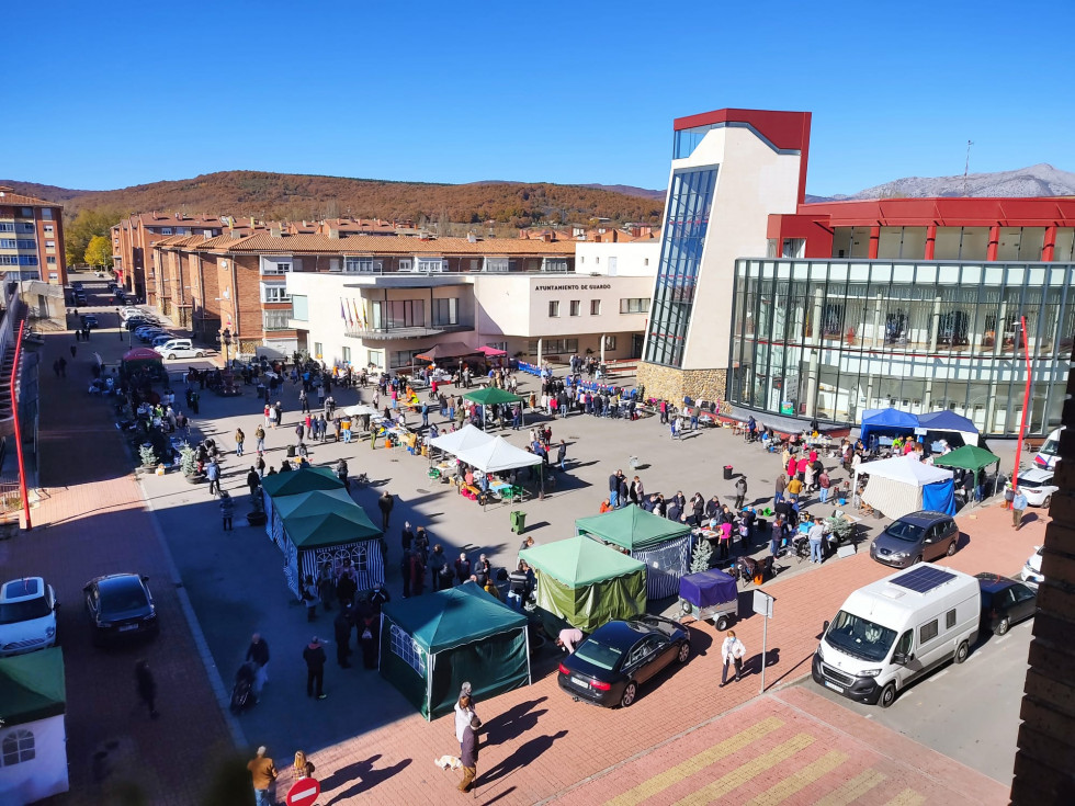 Ollas ferroviarias guardo 2021 8