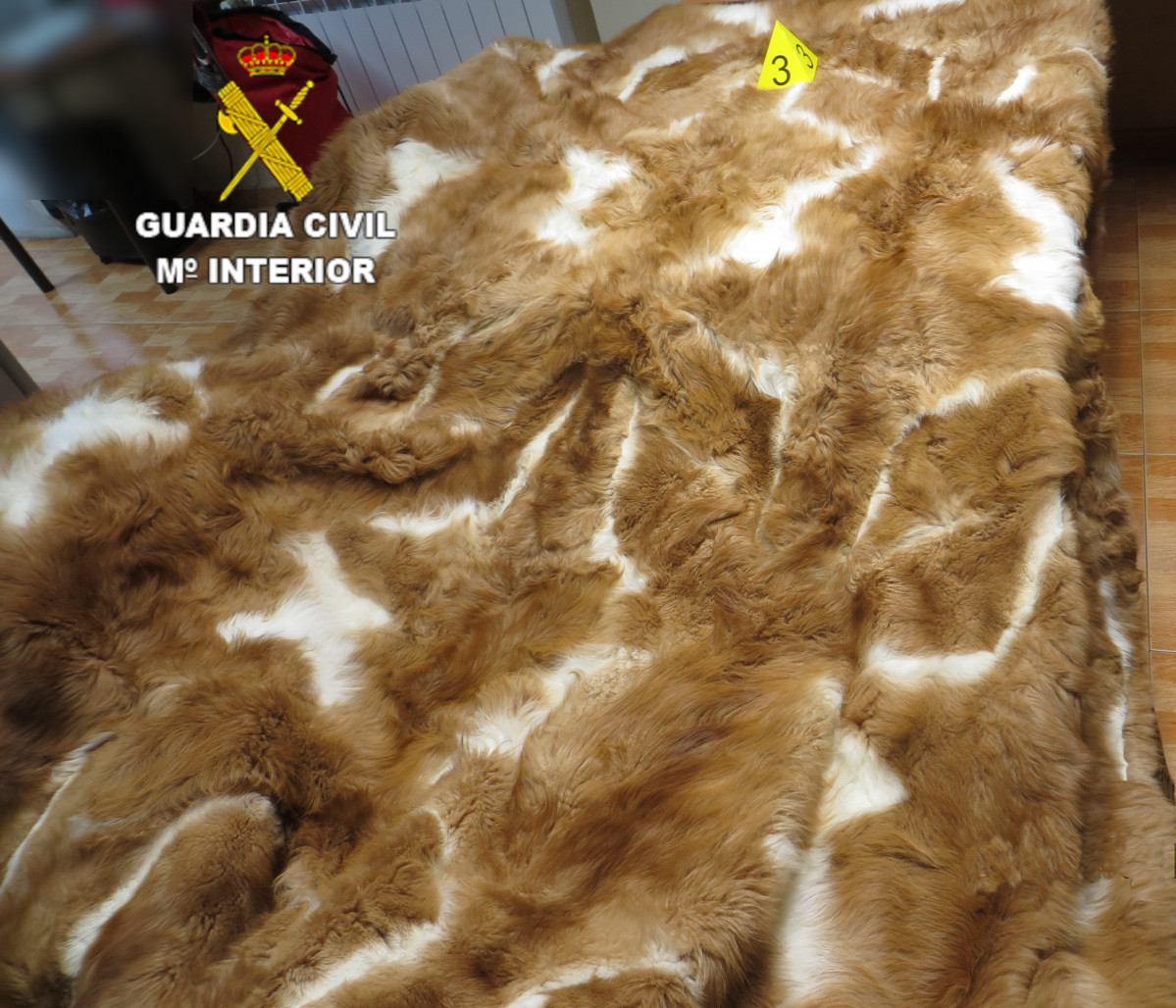 211126 FOTO 2 investigada tráfico ilegal de especies protegidas. Manta confeccionada con pieles de güanaco.