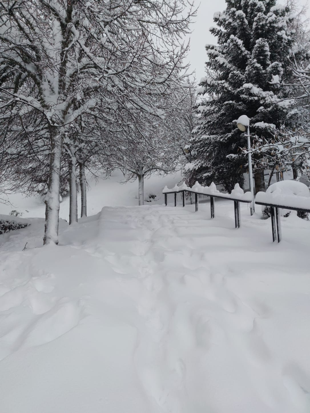 Riaño noviembre 2021 nieve 18