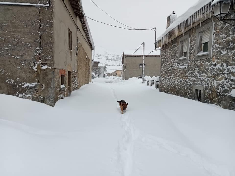 Maraña marañones por el mundo nieve 2021 2