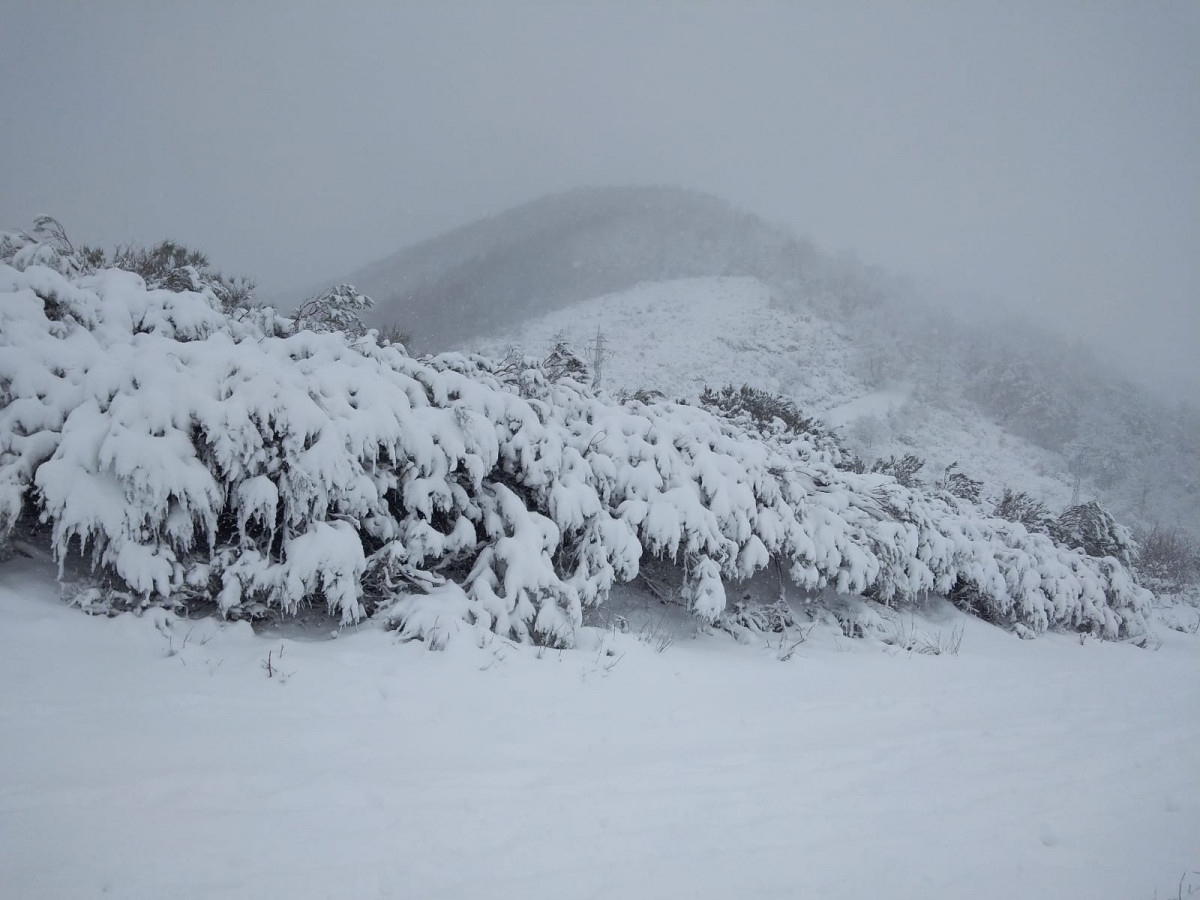 Riaño alto de valcayo nieve