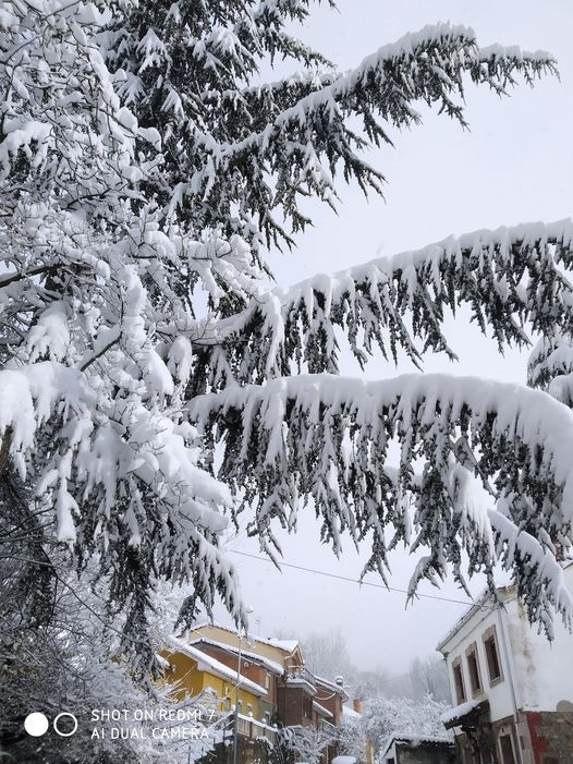 Villacorta rosa gonzalez liebana 2021 nieve 1