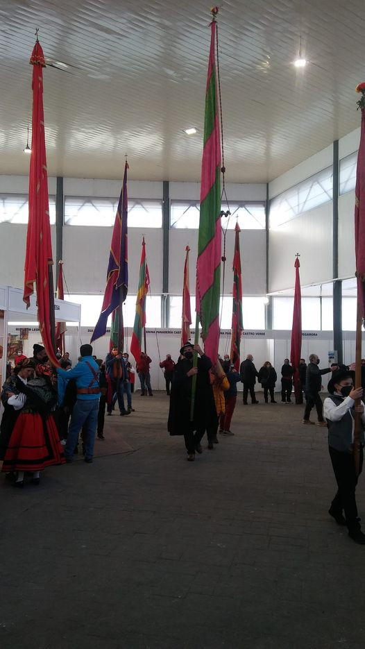 Feria santa catalina ddv