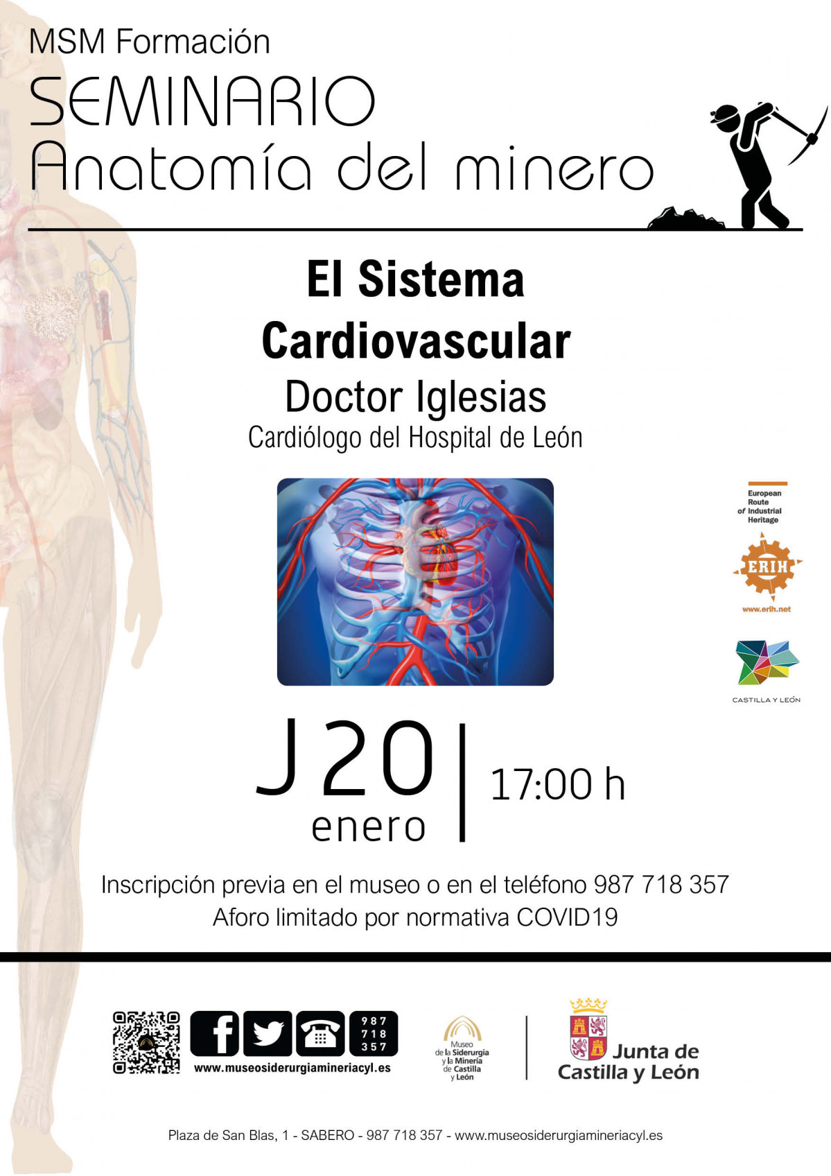 Anatomia del minero   enero (para web)