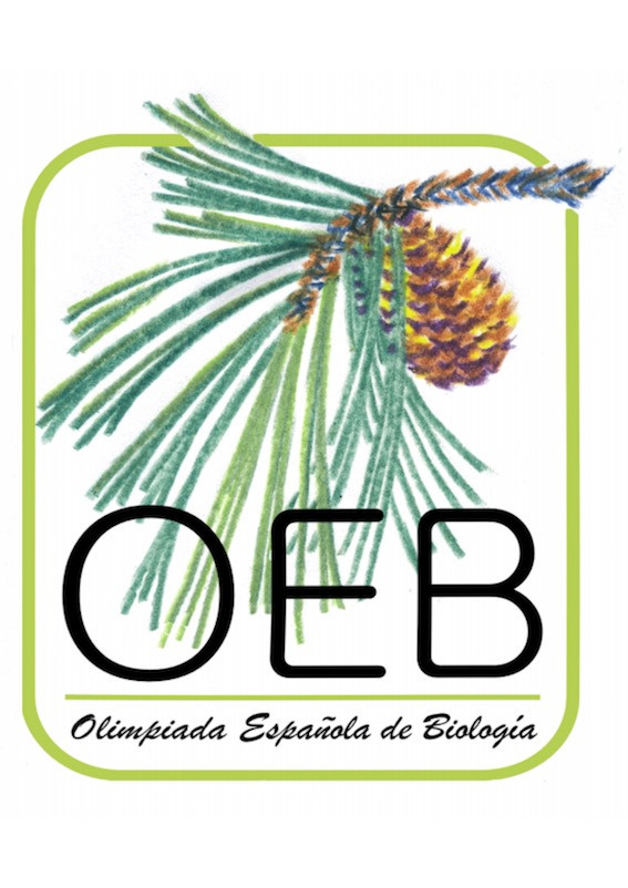 Logo OEB