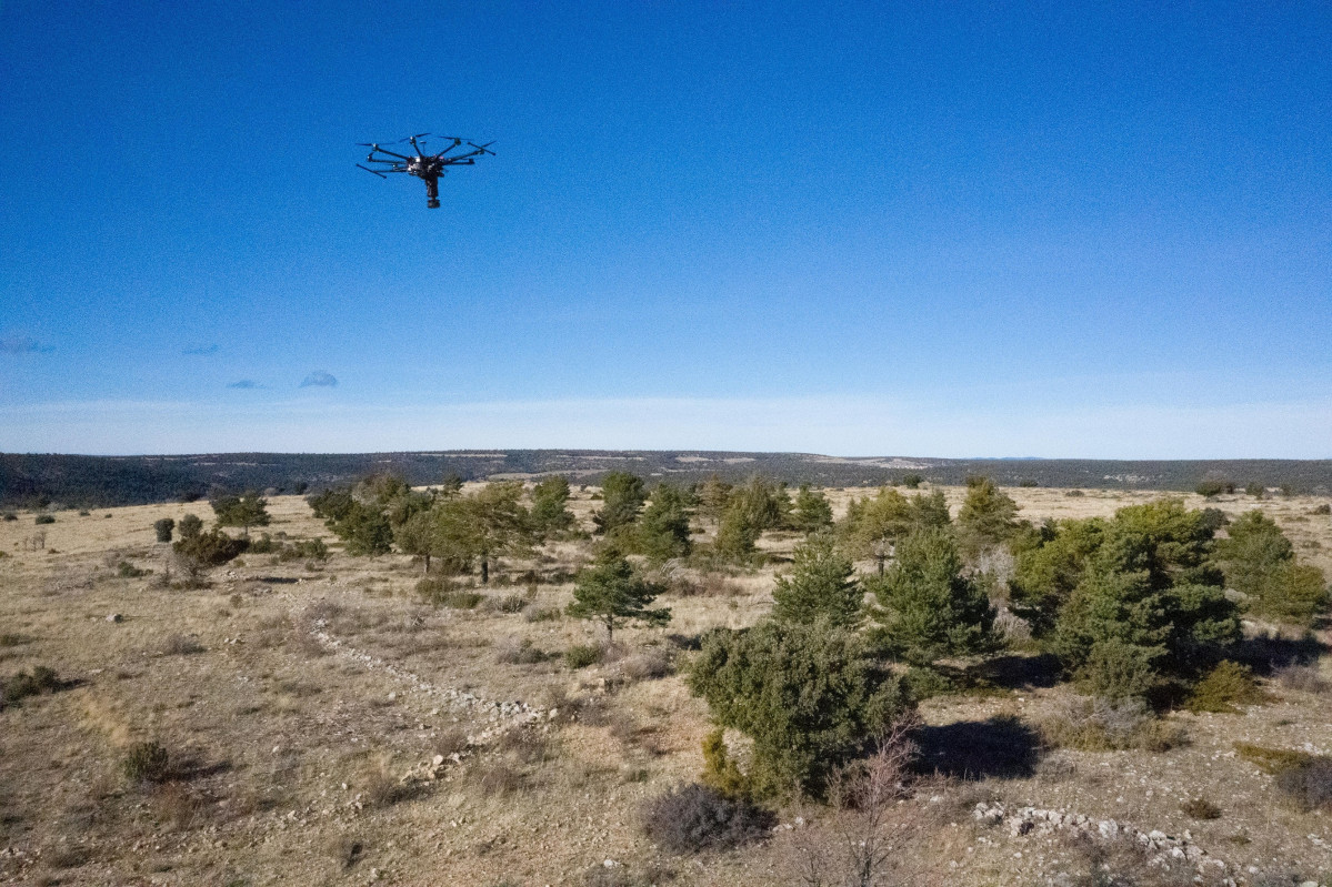 2022.02.03. Dron CO2 Revolution Iberdrola Biodiversidad u00e1rboles V