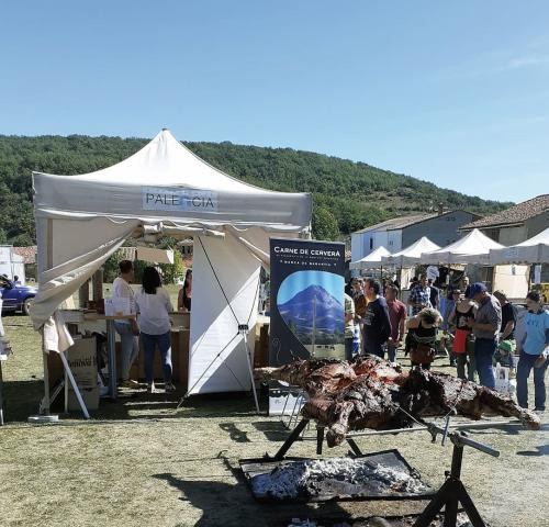 Campa 1