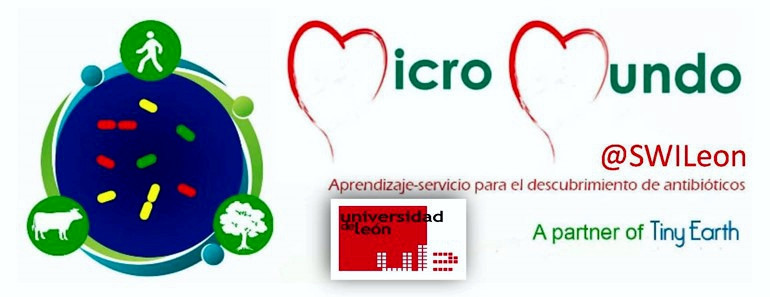 Logo del Proyecto Micromundo en la ULE