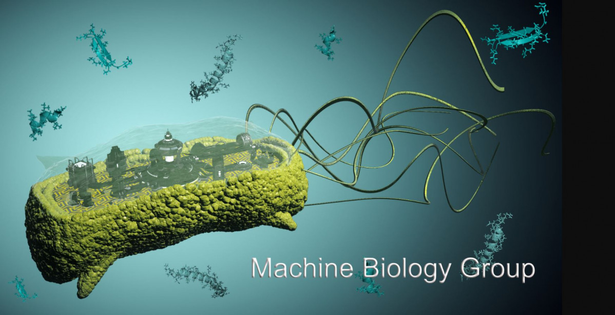 Imagen extrau00edda de la web del Machine Biology Group de la Univ, de Pensilvania