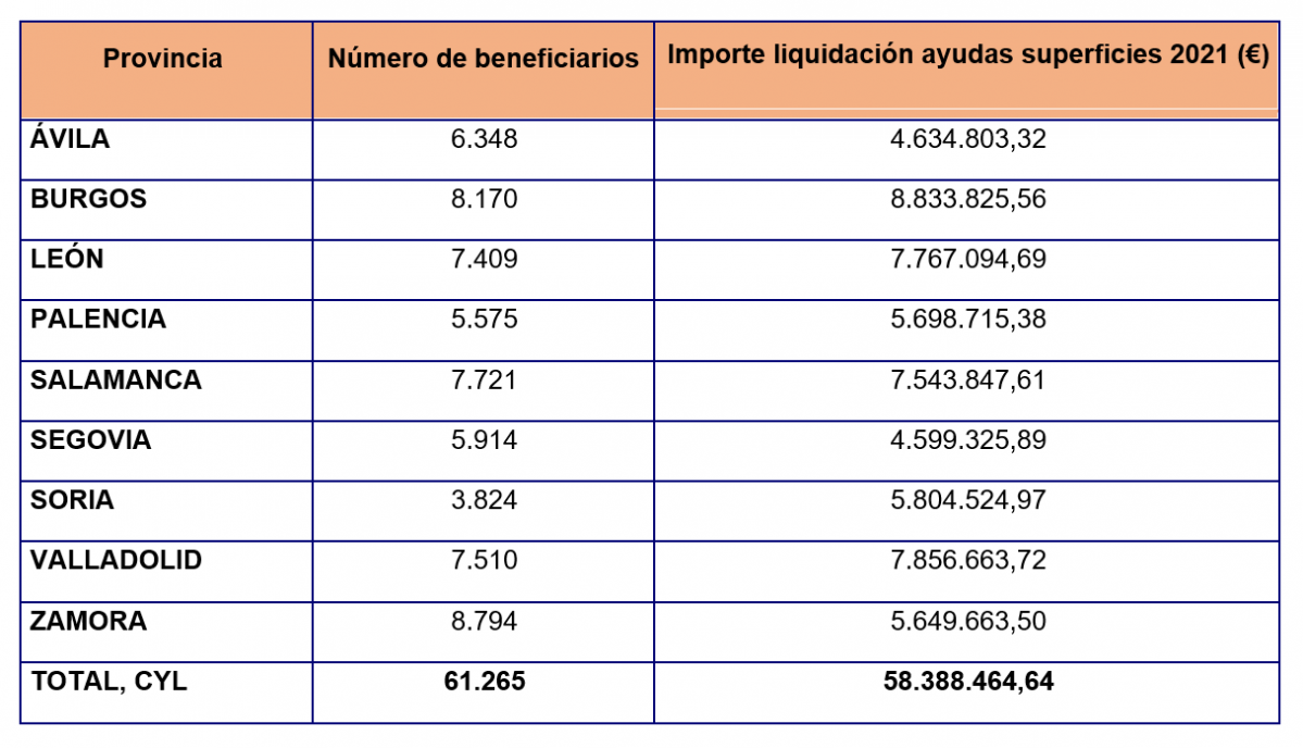 Pagos liquidacion