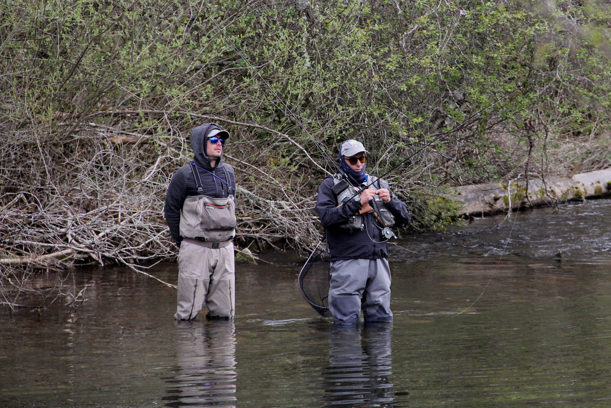 Pesca velilla del rio carrion 2022