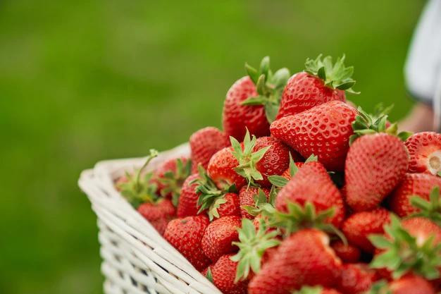 Fresas de almanza 4