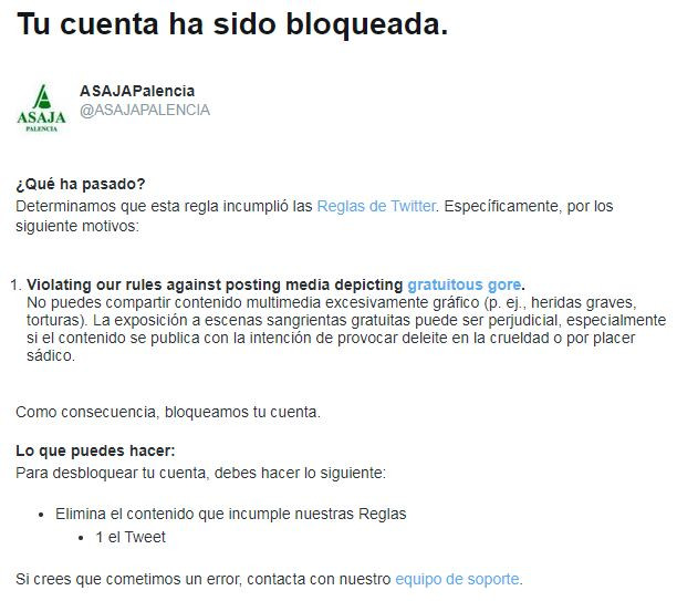 20220512 CENSURA TWITTER