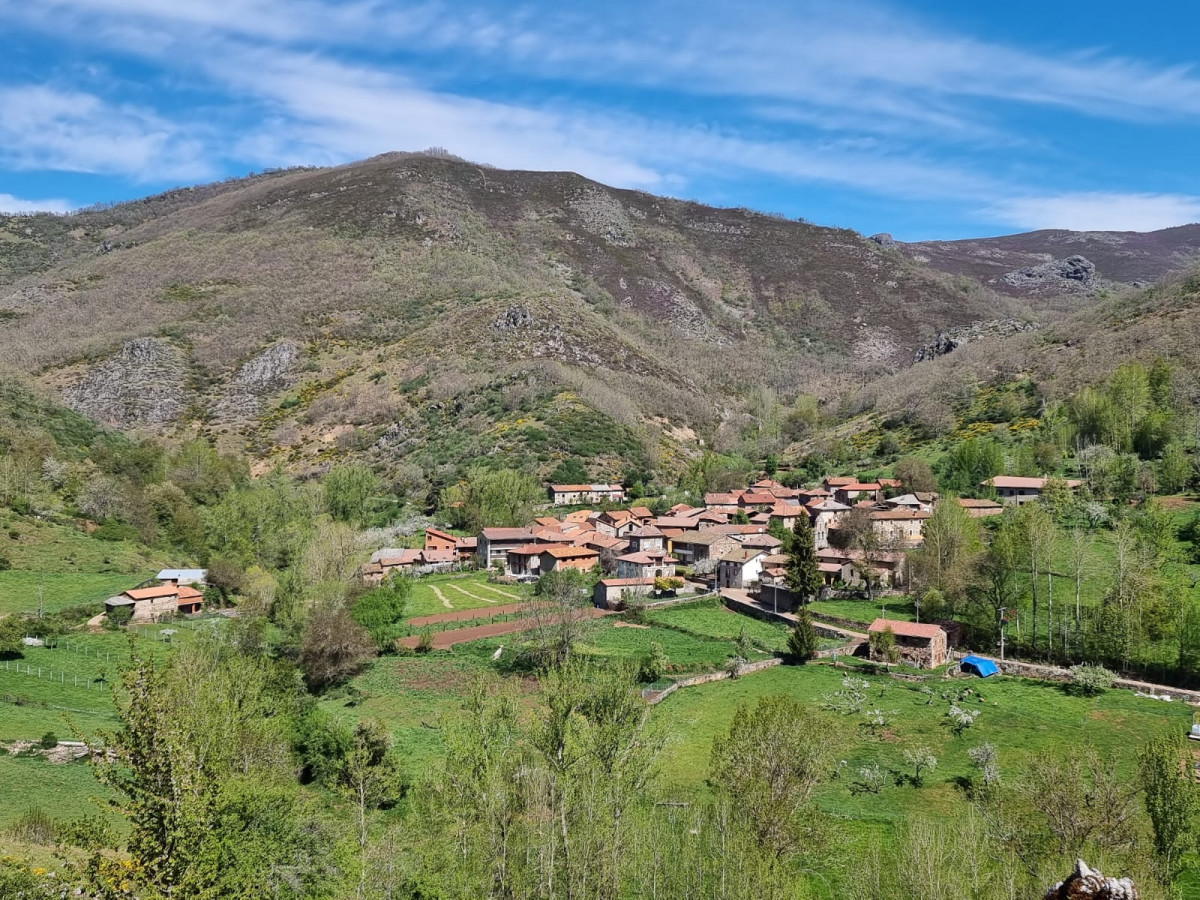 Corniero   lidia del blanco